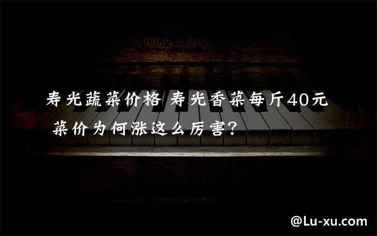 寿光蔬菜价格 寿光香菜每斤40元 菜价为何涨这么厉害？