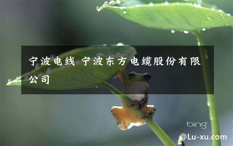 宁波电线 宁波东方电缆股份有限公司