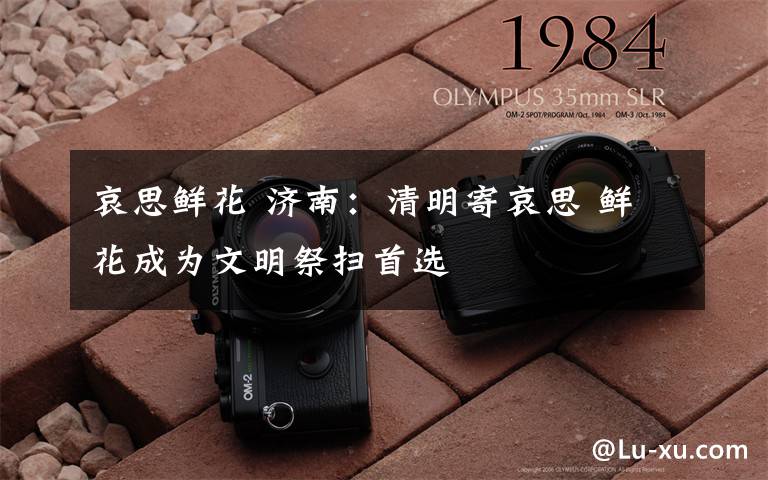 哀思鲜花 济南：清明寄哀思 鲜花成为文明祭扫首选
