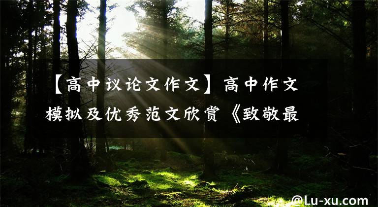 【高中议论文作文】高中作文模拟及优秀范文欣赏《致敬最美普通“逆行者”》