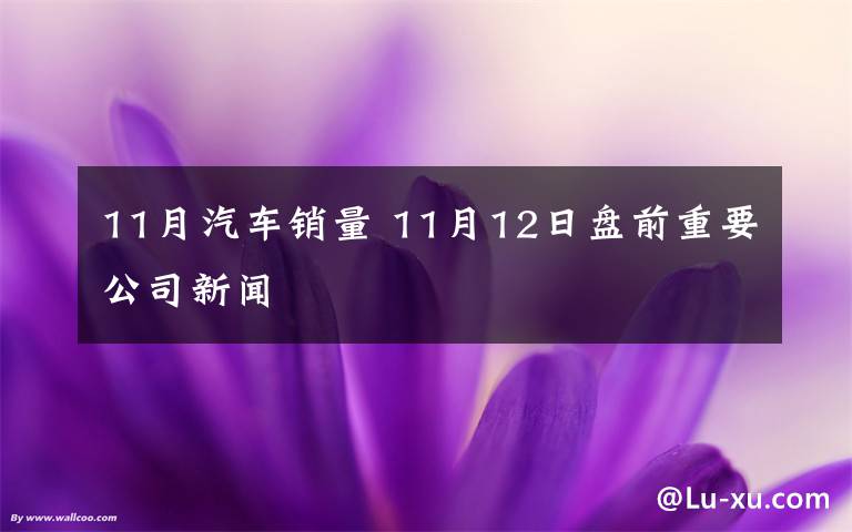 11月汽车销量 11月12日盘前重要公司新闻