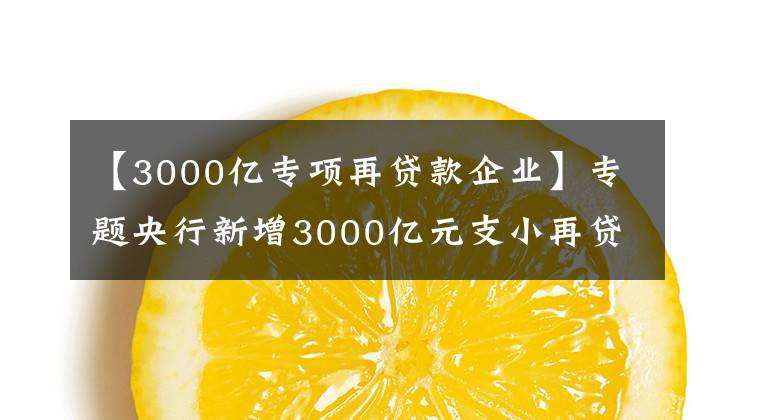 【3000亿专项再贷款企业】专题央行新增3000亿元支小再贷款额度