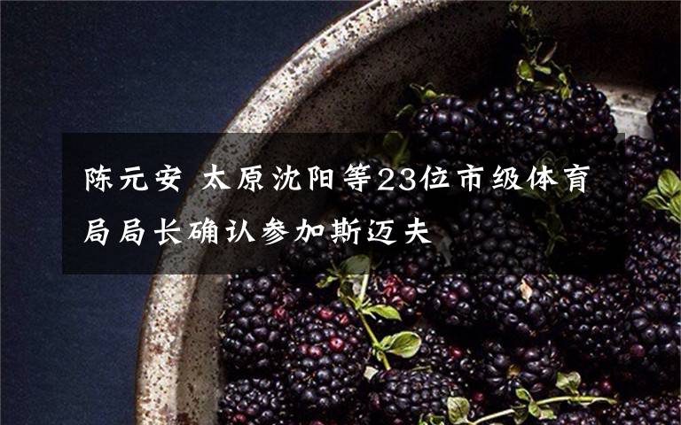 陈元安 太原沈阳等23位市级体育局局长确认参加斯迈夫