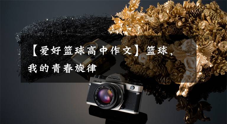 【爱好篮球高中作文】篮球，我的青春旋律