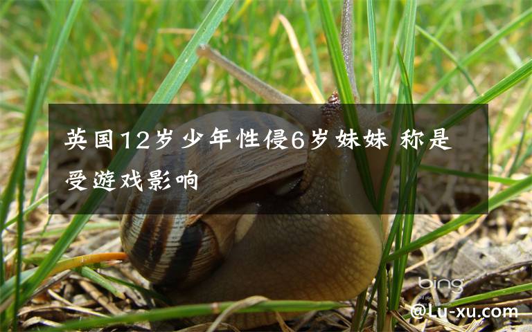 英国12岁少年性侵6岁妹妹 称是受游戏影响