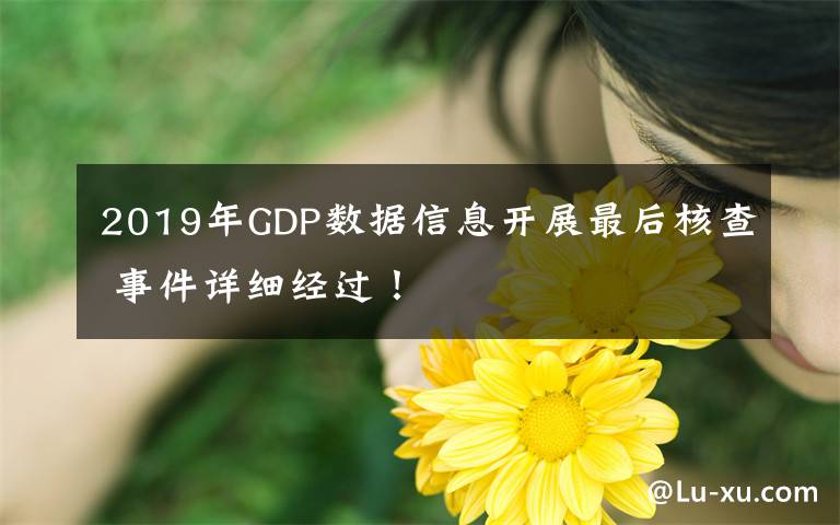 2019年GDP数据信息开展最后核查 事件详细经过！