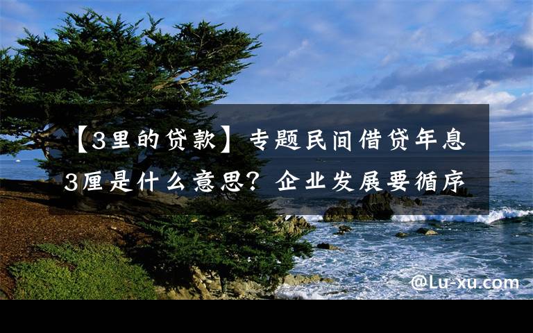 【3里的贷款】专题民间借贷年息3厘是什么意思？企业发展要循序渐进，不能拔苗助长