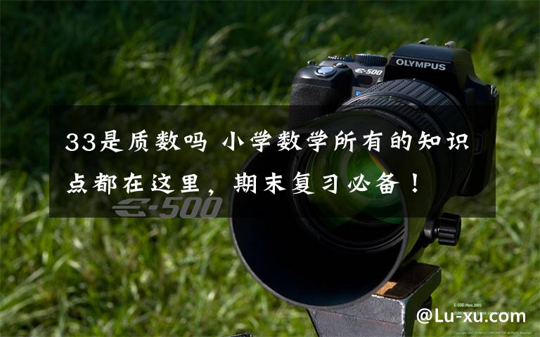 33是质数吗 小学数学所有的知识点都在这里，期末复习必备！