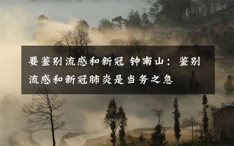 要鉴别流感和新冠 钟南山：鉴别流感和新冠肺炎是当务之急