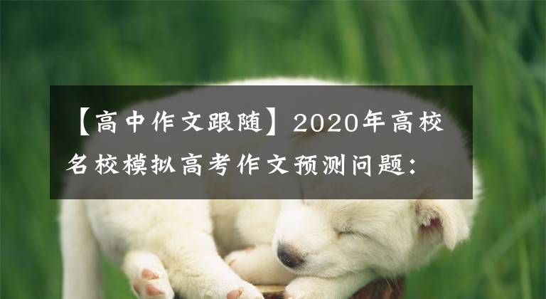 【高中作文跟随】2020年高校名校模拟高考作文预测问题：沉潜中的追随与超越