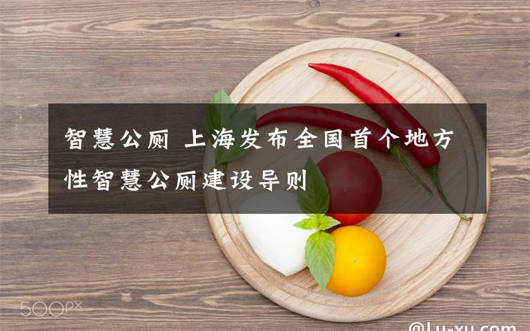 智慧公厕 上海发布全国首个地方性智慧公厕建设导则