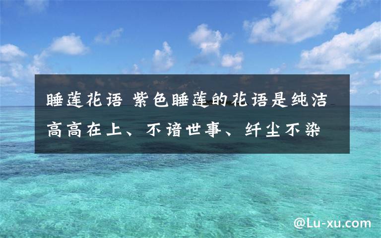 睡莲花语 紫色睡莲的花语是纯洁高高在上、不谙世事、纤尘不染。静卧一泓秋水中的睡莲，沉浸于自己的世界