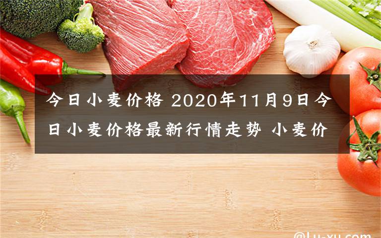 今日小麦价格 2020年11月9日今日小麦价格最新行情走势 小麦价格一览表