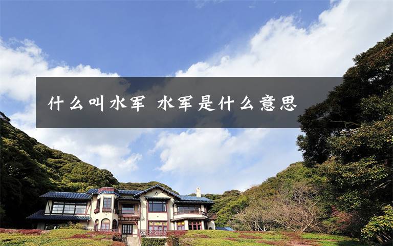 什么叫水军 水军是什么意思