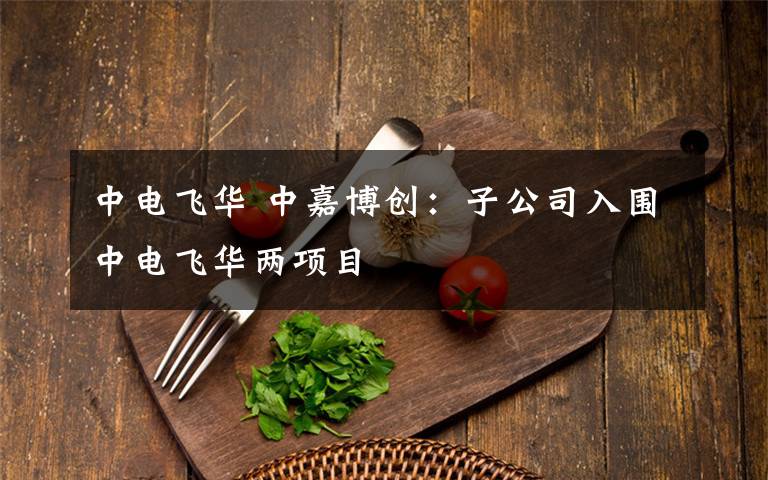 中电飞华 中嘉博创：子公司入围中电飞华两项目