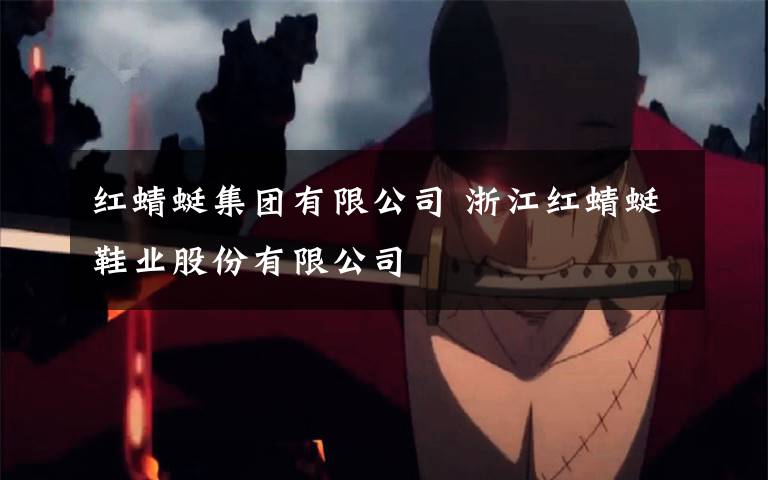 红蜻蜓集团有限公司 浙江红蜻蜓鞋业股份有限公司