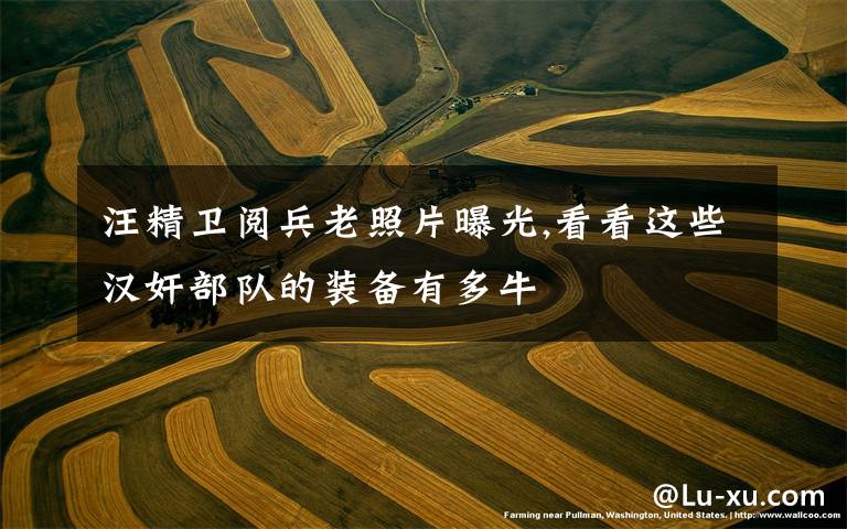 汪精卫阅兵老照片曝光,看看这些汉奸部队的装备有多牛