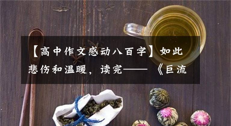 【高中作文感动八百字】如此悲伤和温暖，读完—— 《巨流河》之后，