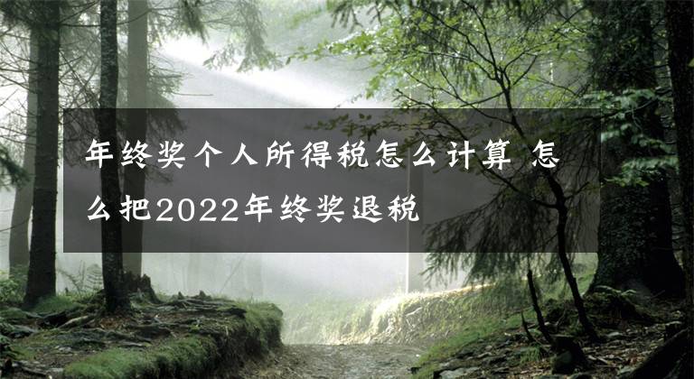 年终奖个人所得税怎么计算 怎么把2022年终奖退税