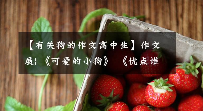 【有关狗的作文高中生】作文展| 《可爱的小狗》 《优点谁都有》 《那次玩的真高兴》