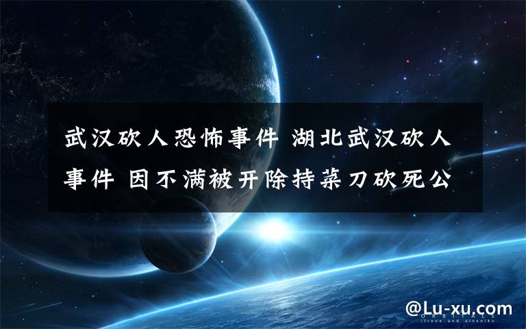 武汉砍人恐怖事件 湖北武汉砍人事件 因不满被开除持菜刀砍死公司内3人