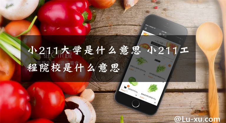 小211大学是什么意思 小211工程院校是什么意思