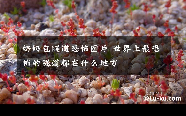 奶奶包隧道恐怖图片 世界上最恐怖的隧道都在什么地方