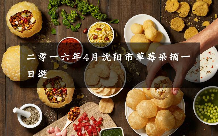 二零一六年4月沈阳市草莓采摘一日游