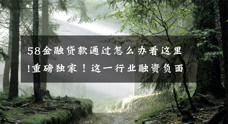58金融贷款通过怎么办看这里!重磅独家！这一行业融资负面信号出现，发债出现“卡顿”！承销商：已放弃！什么原因？