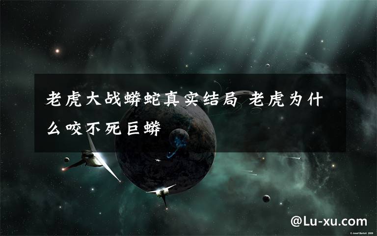 老虎大战蟒蛇真实结局 老虎为什么咬不死巨蟒