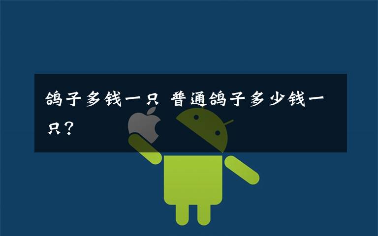鸽子多钱一只 普通鸽子多少钱一只？