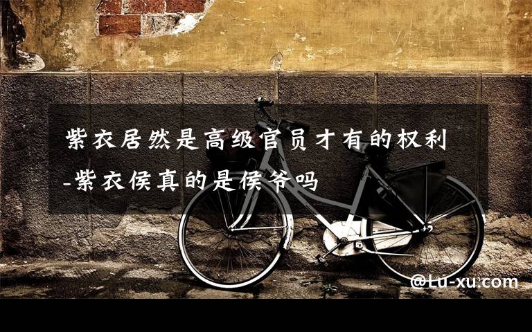紫衣居然是高级官员才有的权利-紫衣侯真的是侯爷吗