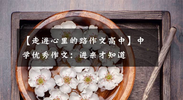【走进心里的路作文高中】中学优秀作文：进来才知道