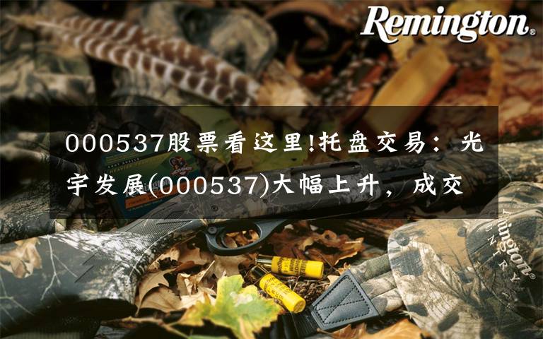 000537股票看这里!托盘交易：光宇发展(000537)大幅上升，成交量扩大。