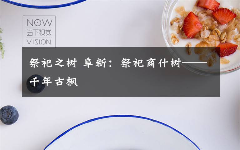 祭祀之树 阜新：祭祀商什树——千年古枫