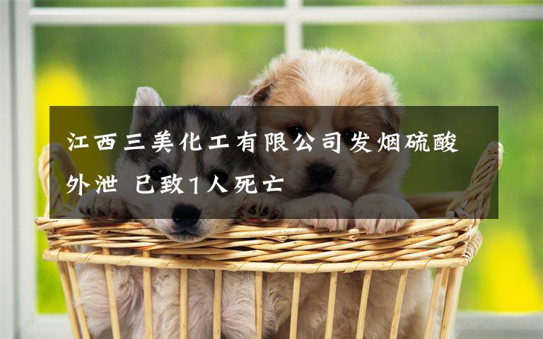 江西三美化工有限公司发烟硫酸外泄 已致1人死亡