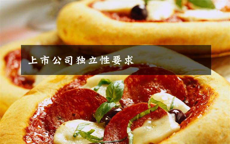 上市公司独立性要求