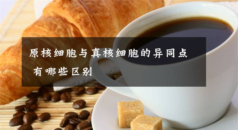 原核细胞与真核细胞的异同点 有哪些区别