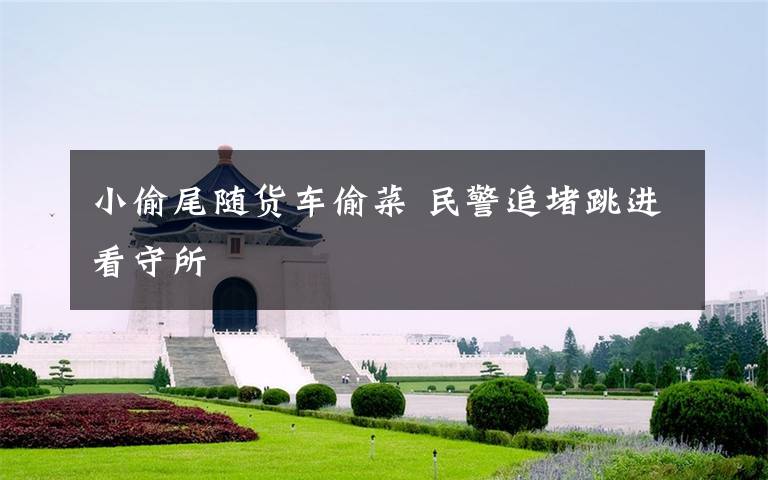 小偷尾随货车偷菜 民警追堵跳进看守所