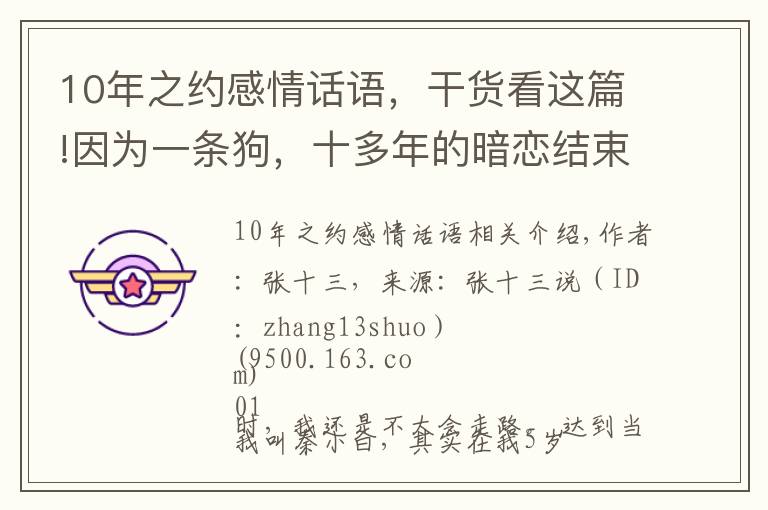 10年之约感情话语，干货看这篇!因为一条狗，十多年的暗恋结束了