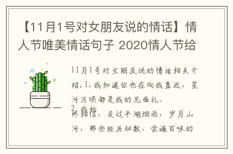 【11月1号对女朋友说的情话】情人节唯美情话句子 2020情人节给女朋友的话
