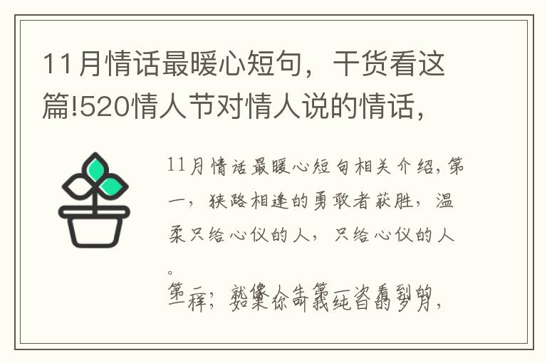 11月情话最暖心短句，干货看这篇!520情人节对情人说的情话，简短暖心，深情撩人！