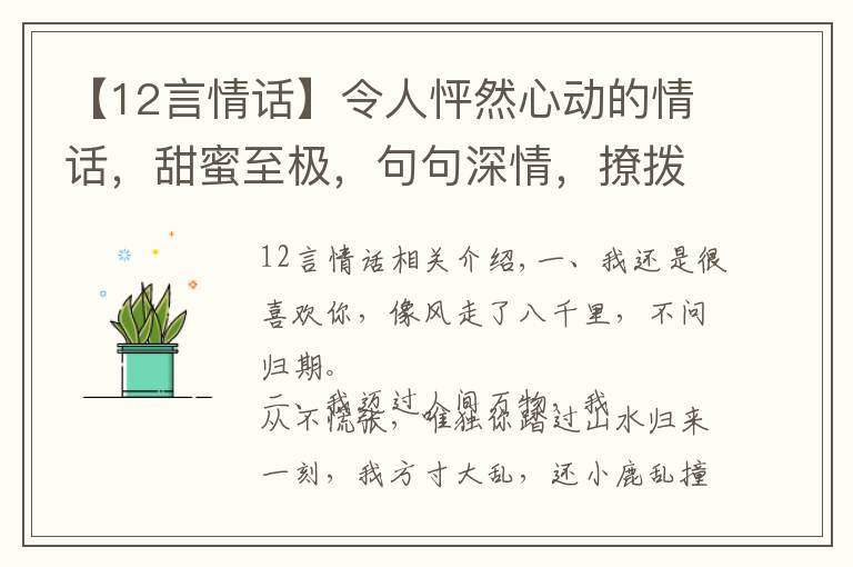 【12言情话】令人怦然心动的情话，甜蜜至极，句句深情，撩拨心弦