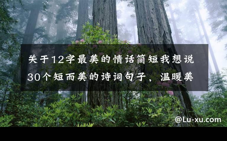 关于12字最美的情话简短我想说30个短而美的诗词句子，温暖美好，沁人心脾