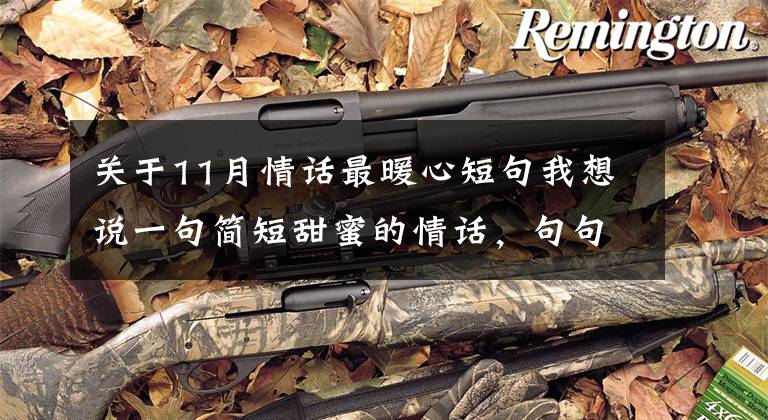 关于11月情话最暖心短句我想说一句简短甜蜜的情话，句句暖心