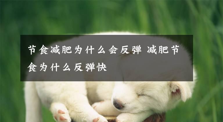 节食减肥为什么会反弹 减肥节食为什么反弹快