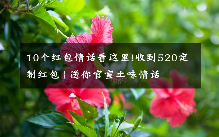 10个红包情话看这里!收到520定制红包 | 送你官宣土味情话