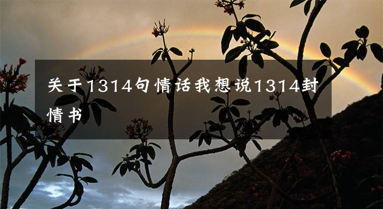 关于1314句情话我想说1314封情书