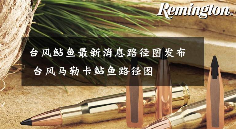 台风鲇鱼最新消息路径图发布 台风马勒卡鲇鱼路径图