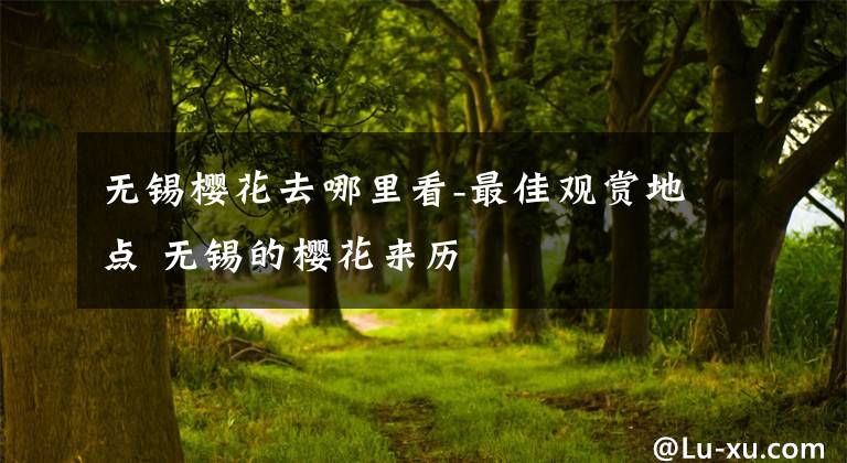 无锡樱花去哪里看-最佳观赏地点 无锡的樱花来历